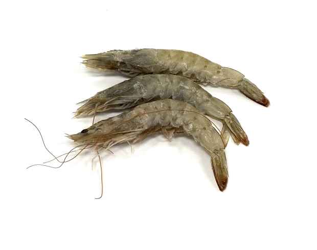 LETOYO 10g 15g 20g Wood Shrimp